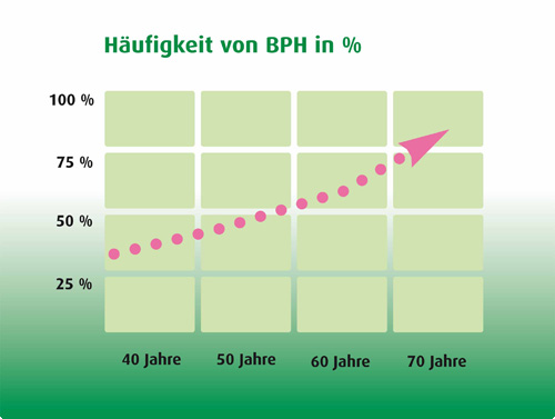Grafik BPH